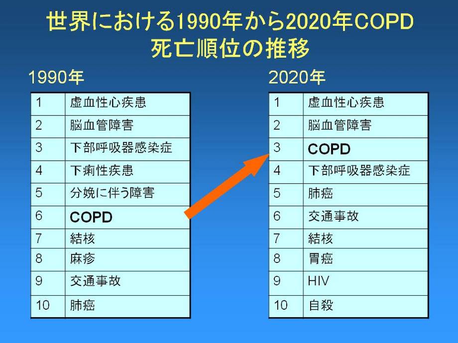 COPD治療の現状と展望 金子 猛先生 | 川村内科診療所様